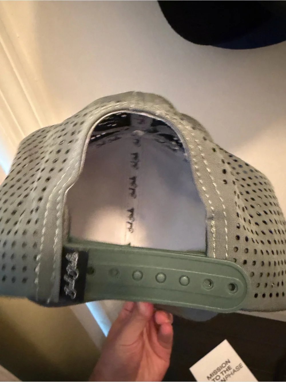 Bad Birdie Hat (Never Worn)